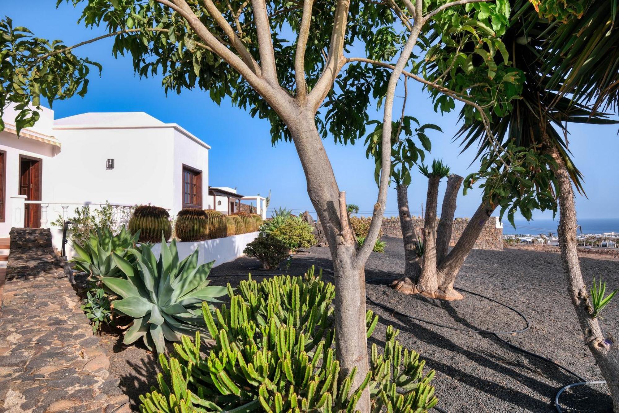 Villa Luciano "Spirit Of The Canaries" Тиас Экстерьер фото