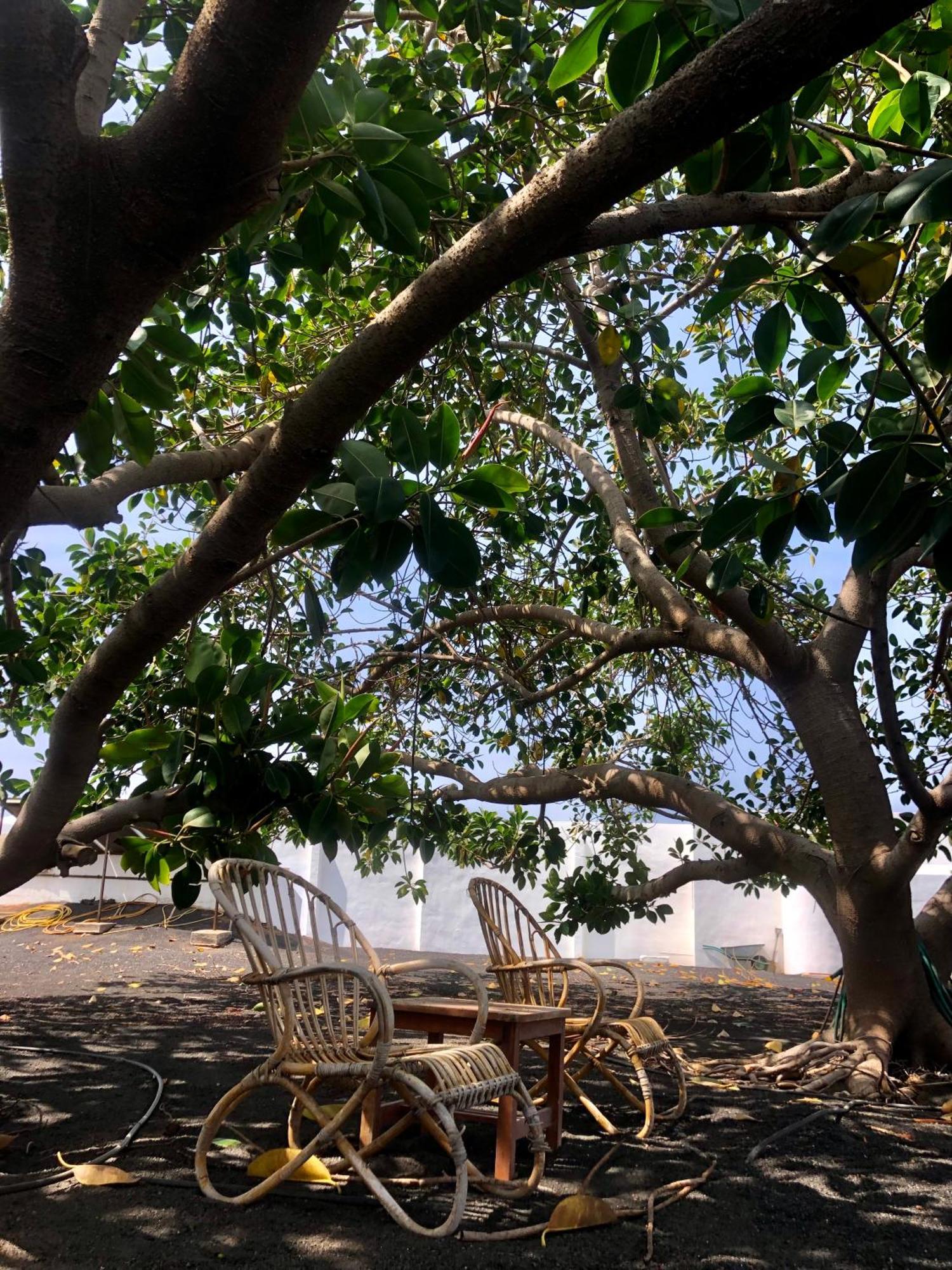 Villa Luciano "Spirit Of The Canaries" Тиас Экстерьер фото
